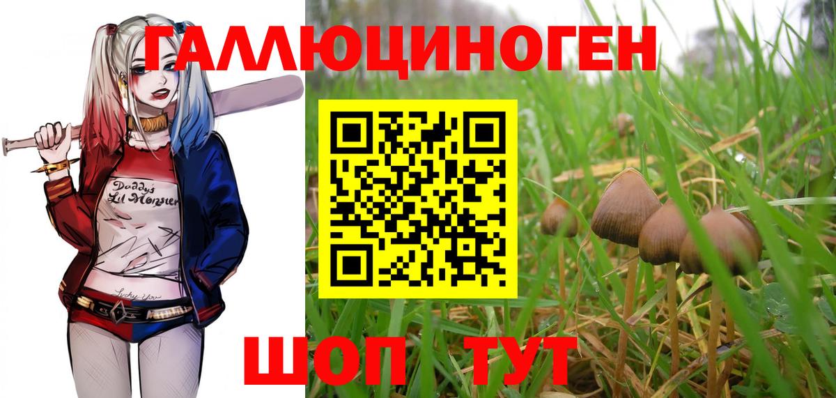 Калининград  Псилоцибиновые грибы мицелий  Вход с VPN  Галлюциногенные грибы MAGIC MUSHROOMS 