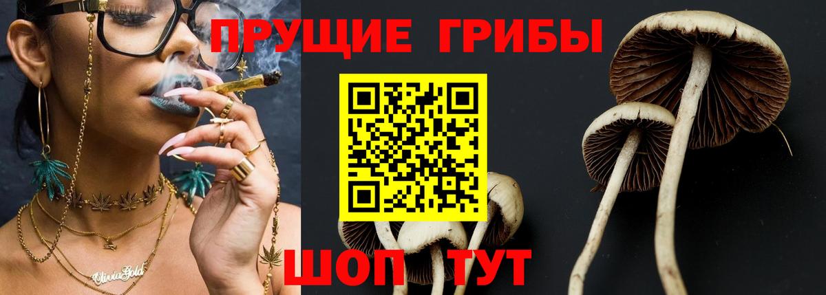 Псилоцибиновые грибы мухоморы Калининград